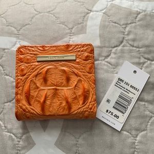 🍊 Brahmin jane wallet